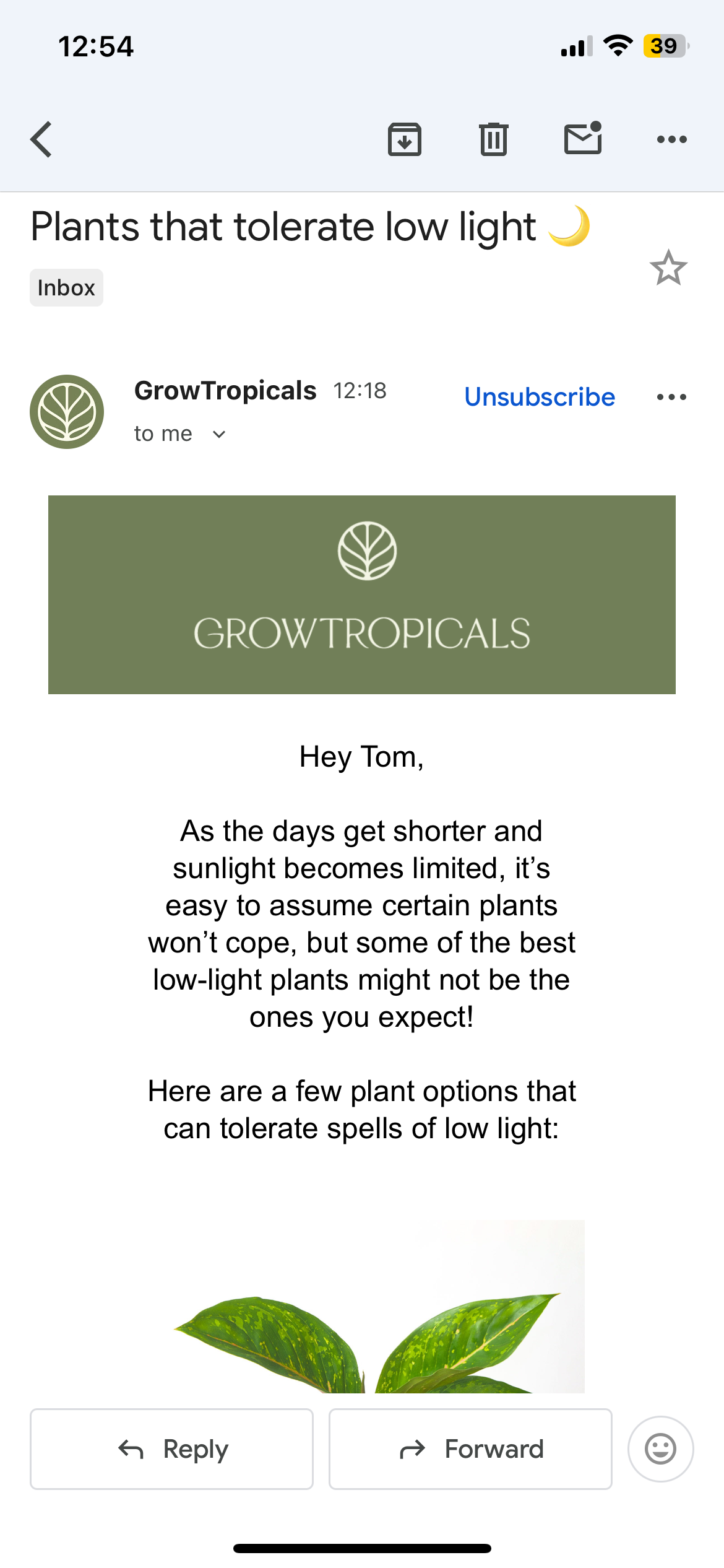 Nice project - Image 2