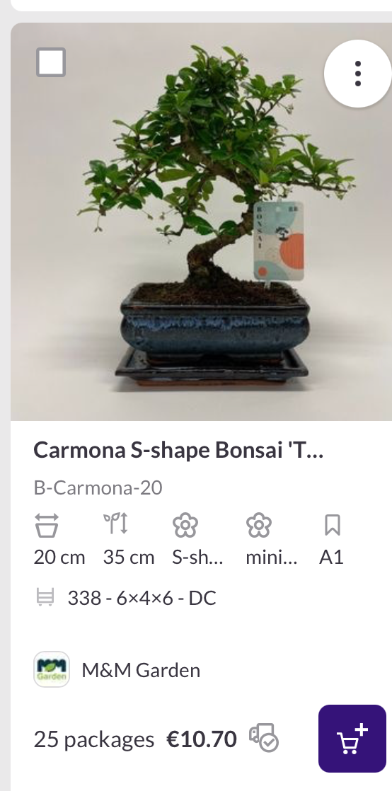 RICE BRAND NEW - Image 7